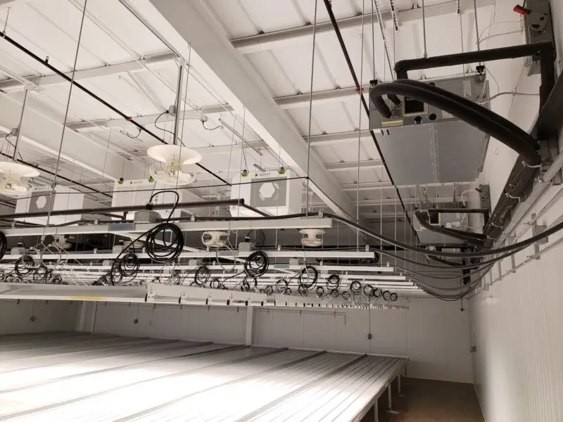 NoBo interior after: finished grow room with lighting and benches