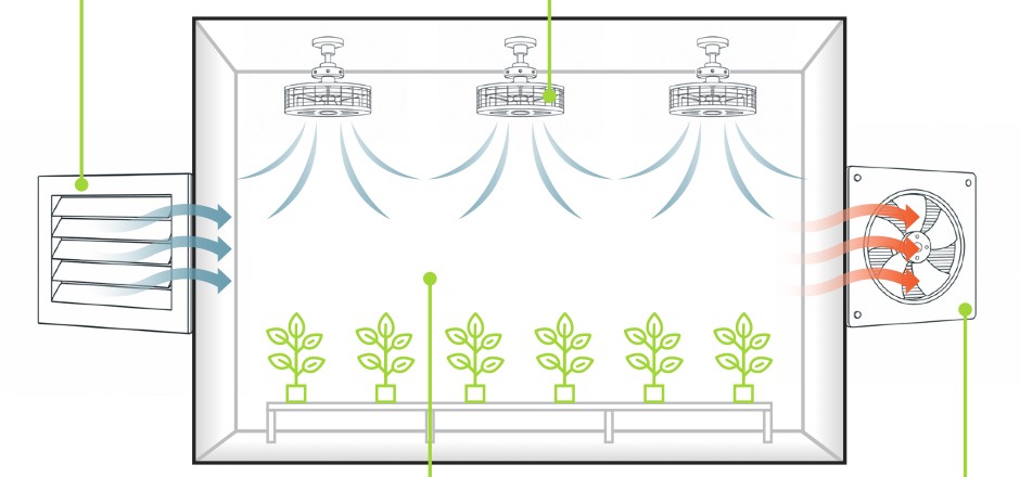 Diagram of filtered air intake, air mixing, and carbon-filtered exhaust in a grow room