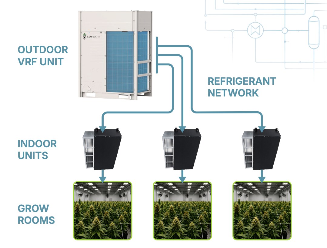 Diagram: one outdoor VRF unit feeds a refrigerant network to multiple indoor units serving separate grow rooms