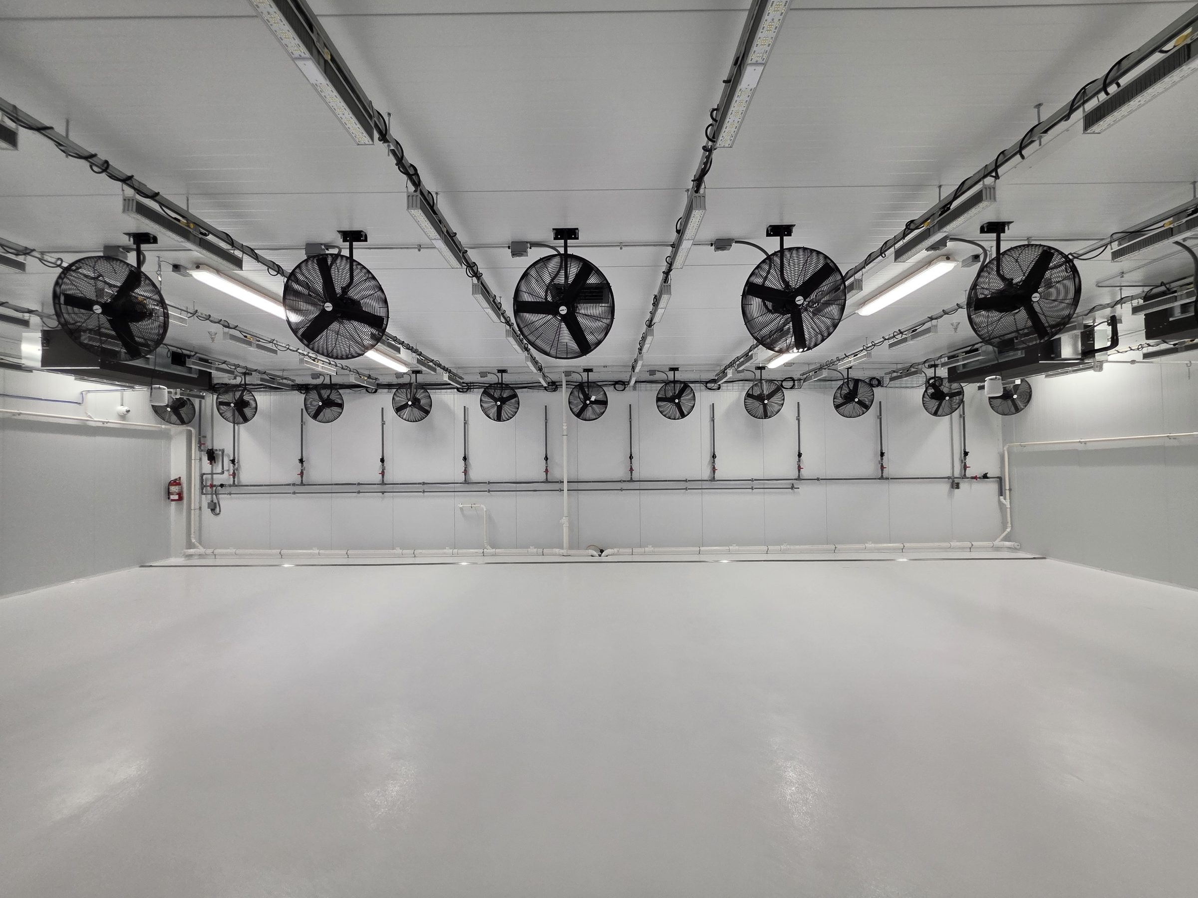 An EasyRoots grow room with in-room circulation fans and no overhead ductwork