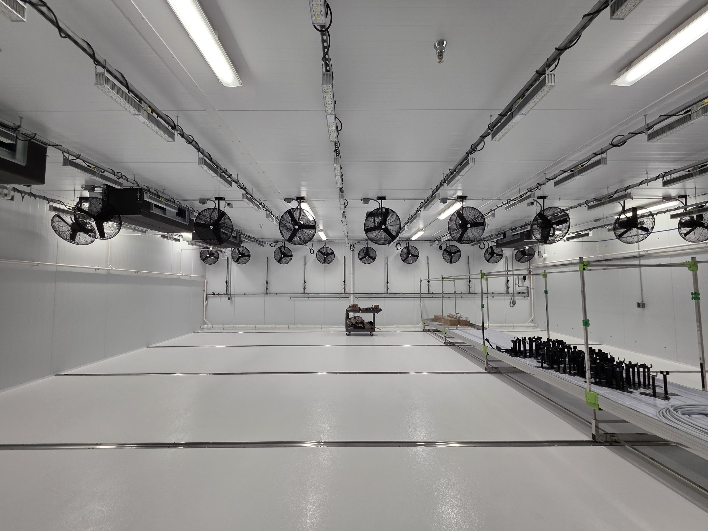 An EasyRoots grow room with in-room circulation fans and no overhead ductwork